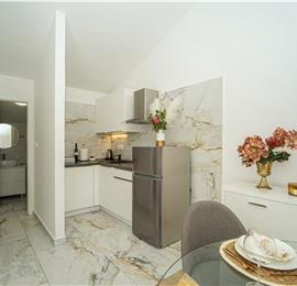 6 Bedroom Beachfront Villa with Heated Pool near Vela Luka on Korcula Island, Sleep 12